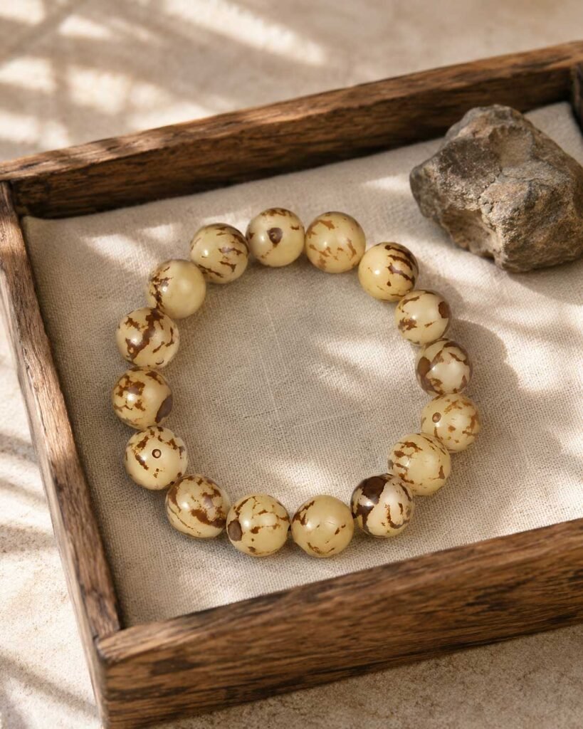 Close-up of a curated natural Bodhi root bead bracelet with smooth organic texture, resting peacefully inside a simple natural wooden box under soft natural sunlight.